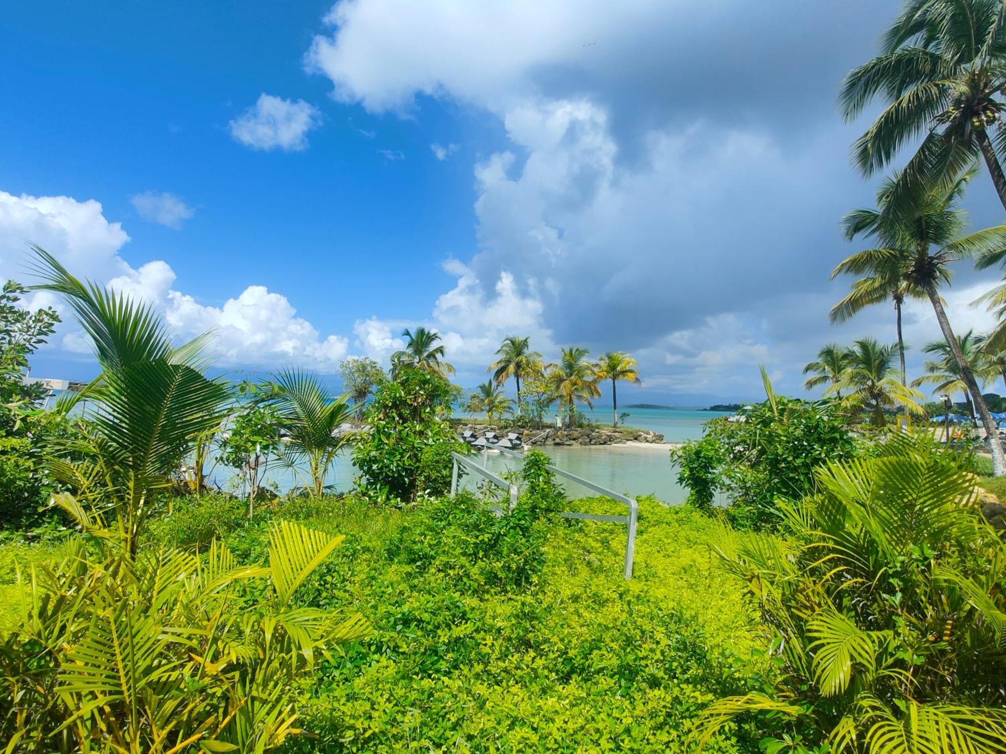 Studio Vue Mer, Pieds Dans L'Eau Le Gosier  Exterior foto